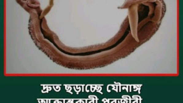 দ্রুত ছড়াচ্ছে যৌনাঙ্গ আক্রান্তকারী পরজীবী